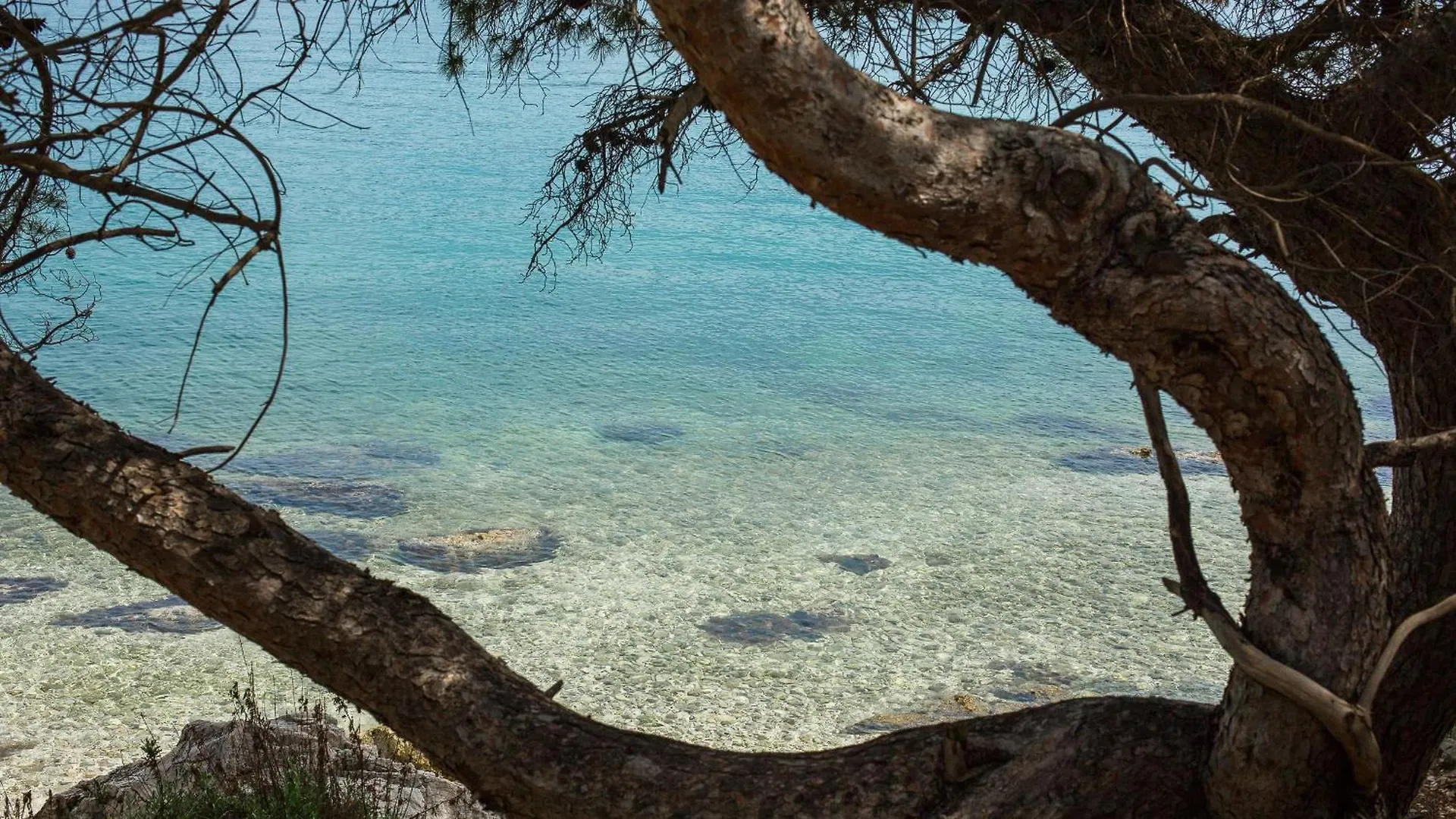 Villa Navisus  Trogir